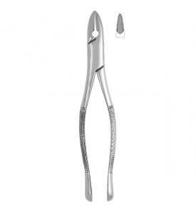 Extracting Forceps #1 - Standard