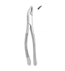 Extracting Forceps #151 - Serrated