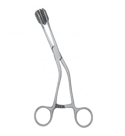 Young Tongue Holding Forceps 6