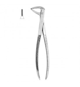 Extracting Forceps #74N - English Pattern