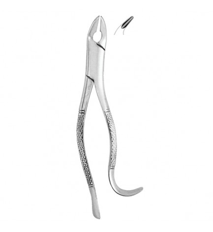 Extracting Forceps #85A