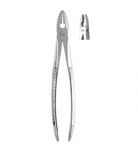 Extracting Forceps #MD1